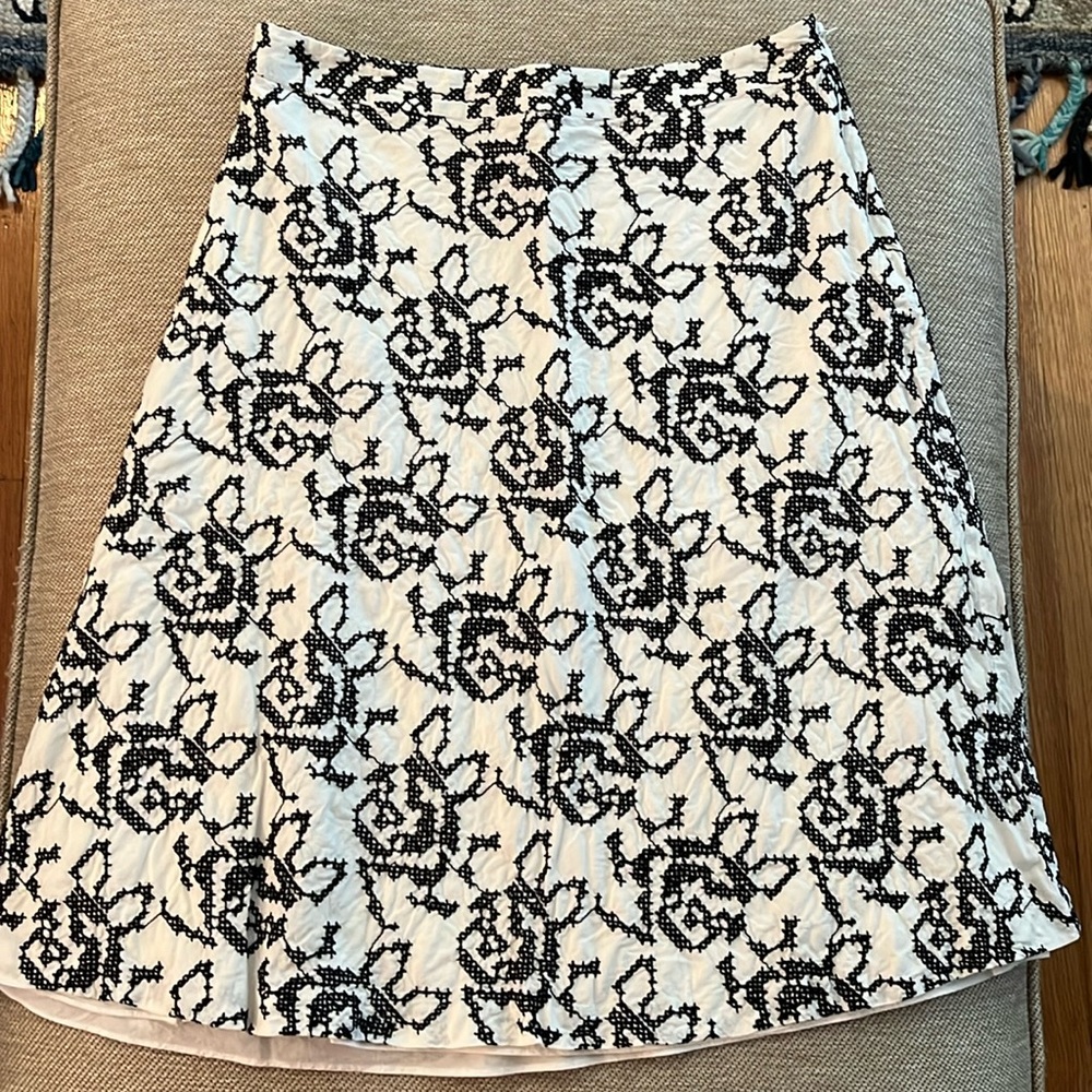 embroidered skirt